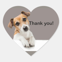 Jack Russell Puppy Zoete Liefste Hartsticker