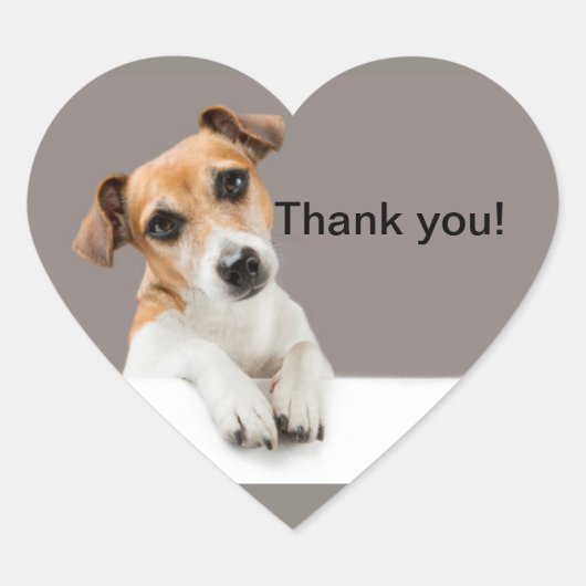 Jack Russell Puppy Zoete Liefste Hartsticker Hart Sticker (Voorkant)