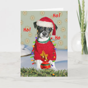 Jack Russell Rat Terrier Mix Vrolijk Kerstfeest Feestdagen Kaart