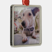 Jack Russell Terier Metalen Ornament (Rechts)