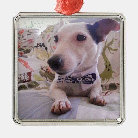 Jack Russell Terier Metalen Ornament (Voorkant)