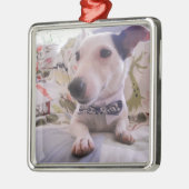 Jack Russell Terier Metalen Ornament (Links)