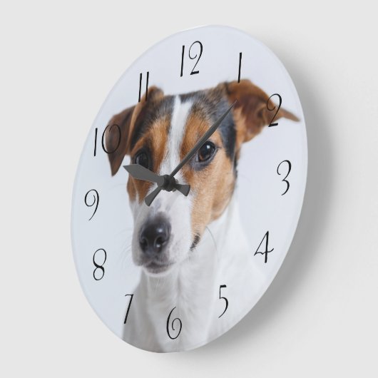 Jack russell terrer grote klok (Hoek)