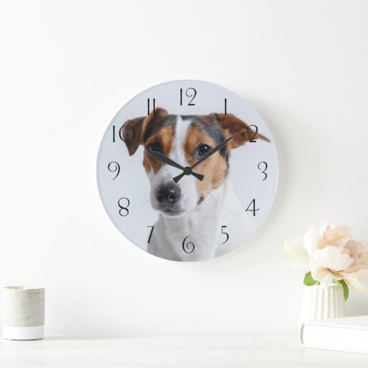 Jack russell terrer grote klok (Huis)