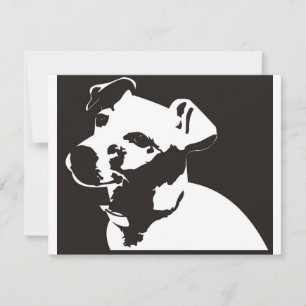 Jack Russell Terrier