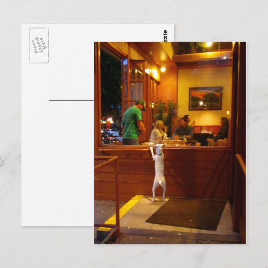 Jack Russell Terrier bij restaurantvenster Briefkaart (Voorkant / Achterkant)