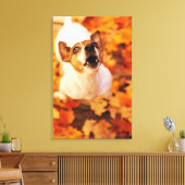 Jack Russell Terrier blaast en springt, herfst Canvas Afdruk (Insitu (Woonkamer))