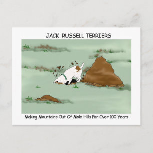Jack Russell Terrier Briefkaart