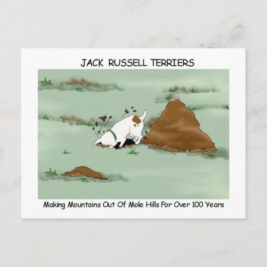 Jack Russell Terrier Briefkaart (Voorkant)