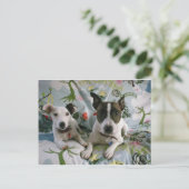 Jack Russell Terrier Briefkaart (Staand voorkant)