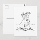 Jack Russell Terrier  Briefkaart (Voorkant / Achterkant)