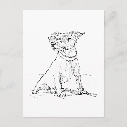 Jack Russell Terrier  Briefkaart (Voorkant)