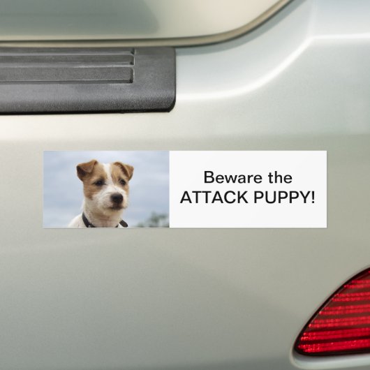 Jack Russell Terrier Bumpersticker (Op auto)