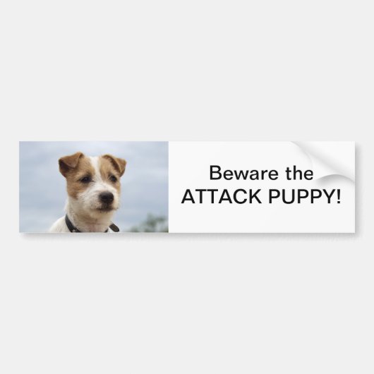 Jack Russell Terrier Bumpersticker (Voorkant)
