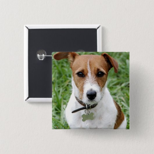 Jack Russell Terrier Button (Voorkant /achterkant)