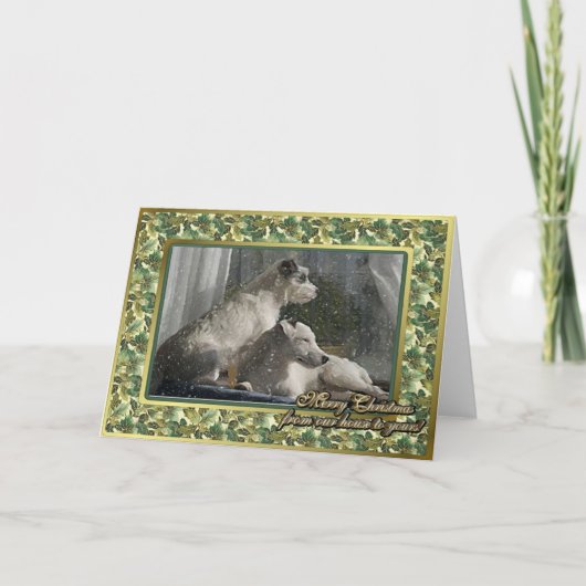 Jack Russell Terrier Dog Blank Christmas Kaart (Voorkant)