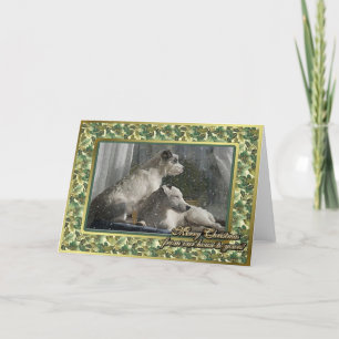 Jack Russell Terrier Dog Blank met kerstkaart Feestdagen Kaart