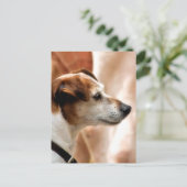 JACK RUSSELL TERRIER DOG BRIEFKAART (Staand voorkant)