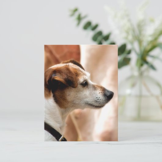 JACK RUSSELL TERRIER DOG BRIEFKAART (Staand voorkant)