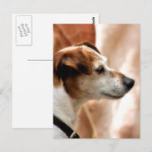 JACK RUSSELL TERRIER DOG BRIEFKAART (Voorkant / Achterkant)