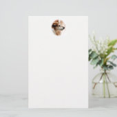 JACK RUSSELL TERRIER DOG BRIEFPAPIER (Staand voorkant)