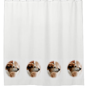 JACK RUSSELL TERRIER DOG DOUCHEGORDIJN
