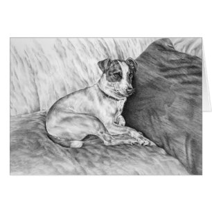Jack Russell Terrier Dog Drawing by Kelli Swan