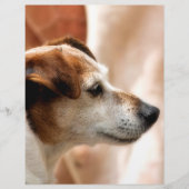 JACK RUSSELL TERRIER DOG FLYER (Voorkant)