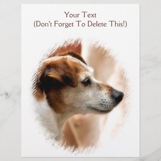 JACK RUSSELL TERRIER DOG FLYER (Voorkant)