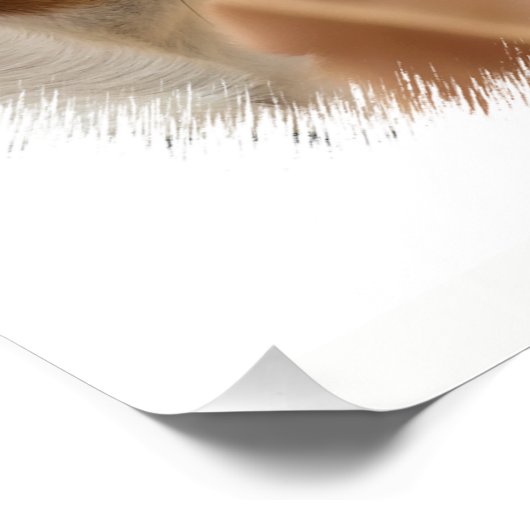 JACK RUSSELL TERRIER DOG FOTO AFDRUK (Hoek)