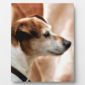 JACK RUSSELL TERRIER DOG FOTOPLAAT (Voorkant)