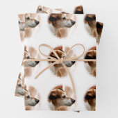 JACK RUSSELL TERRIER DOG INPAKPAPIER VEL (In situ)