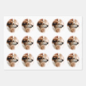 JACK RUSSELL TERRIER DOG INPAKPAPIER VEL (Voorkant)