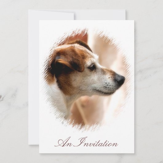 JACK RUSSELL TERRIER DOG KAART (Voorkant)