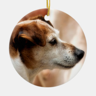 JACK RUSSELL TERRIER DOG KERAMISCH ORNAMENT