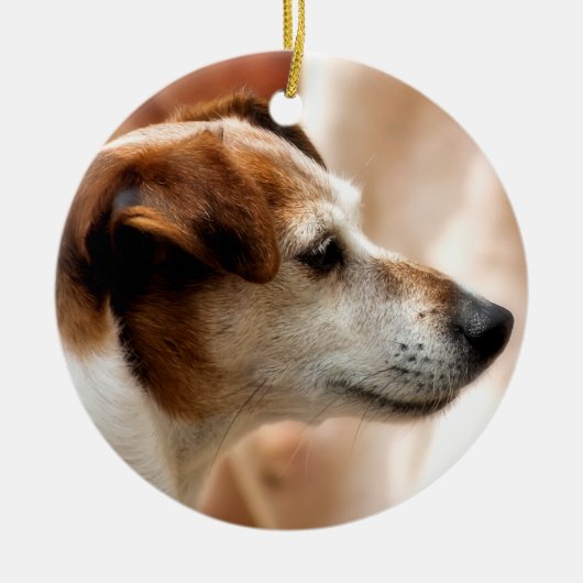 JACK RUSSELL TERRIER DOG KERAMISCH ORNAMENT (Voorkant)