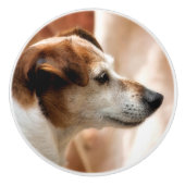 JACK RUSSELL TERRIER DOG KERAMISCHE KNOP (Voorkant)
