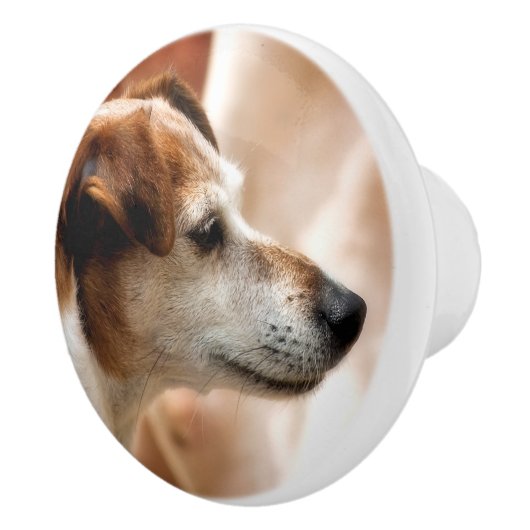 JACK RUSSELL TERRIER DOG KERAMISCHE KNOP (Rechts)