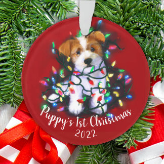 Jack Russell Terrier Dog & kerstboomverlichting Ornament