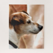 JACK RUSSELL TERRIER DOG LEGPUZZEL (Verticaal)