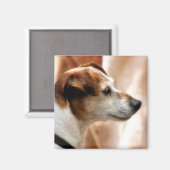 JACK RUSSELL TERRIER DOG MAGNEET (Voorkant / Achterkant)
