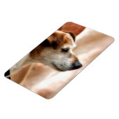 JACK RUSSELL TERRIER DOG MAGNEET (Linkerzijde)