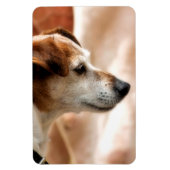 JACK RUSSELL TERRIER DOG MAGNEET (Verticaal)