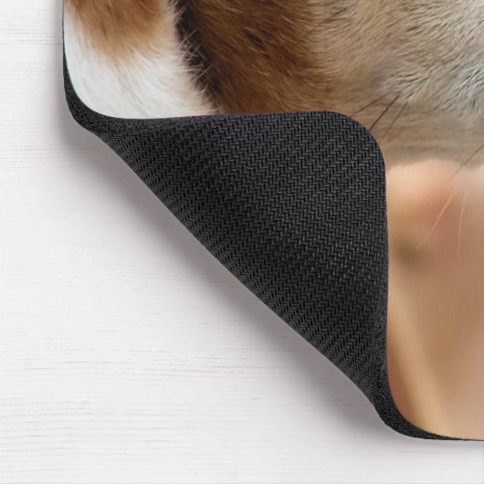 JACK RUSSELL TERRIER DOG MUISMAT (Hoek)