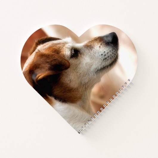 JACK RUSSELL TERRIER DOG NOTITIEBOEK (Achterkant)