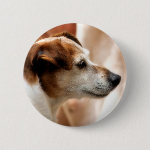 JACK RUSSELL TERRIER DOG RONDE BUTTON 5,7 CM