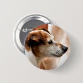 JACK RUSSELL TERRIER DOG RONDE BUTTON 5,7 CM (Voorkant /achterkant)