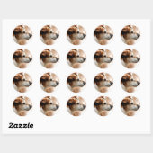 JACK RUSSELL TERRIER DOG RONDE STICKER (Vel)