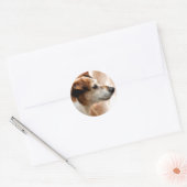 JACK RUSSELL TERRIER DOG RONDE STICKER (Envelop)