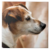 JACK RUSSELL TERRIER DOG TEGELTJE (Voorkant)